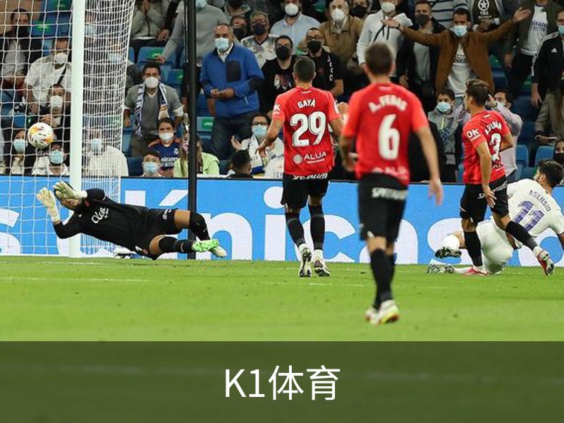关于K1体育